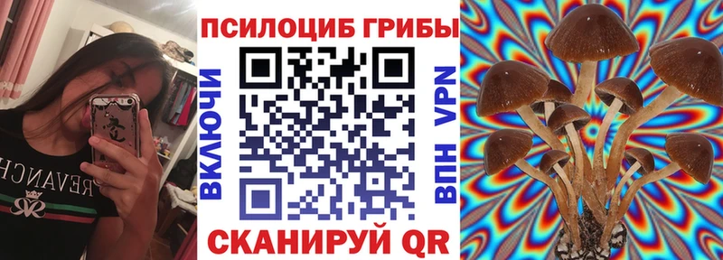 Псилоцибиновые грибы MAGIC MUSHROOMS МЕГА ссылка мориарти клад Усть-Кут